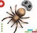 Павук Тарантул на радіокеруванні Discovery RC Tarantula Spider 1013552 ФП0012 фото 2