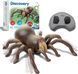 Павук Тарантул на радіокеруванні Discovery RC Tarantula Spider 1013552 ФП0012 фото 1