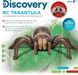 Павук Тарантул на радіокеруванні Discovery RC Tarantula Spider 1013552 ФП0012 фото 4
