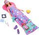 УЦЕНКА (Примятая коробка) Игровой набор кукла Барби со щенками Barbie Doll and 2 Toy Dog Figures HXN01 КБ0149у фото 2