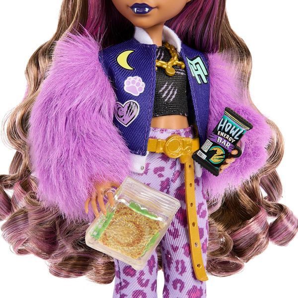 Кукла Монстер Хай Клодин Вульф с питомцем Monster High Clawdeen Wolf with Pet Dog КМ0036 фото